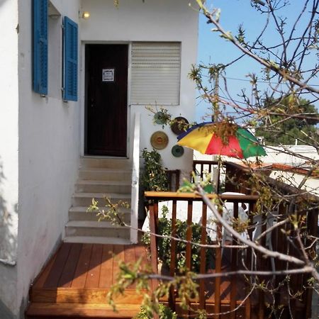 The Artist'S House Overlooking The Bay Of Haifa Kültér fotó