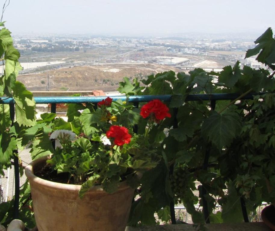 The Artist'S House Overlooking The Bay Of Haifa Kültér fotó